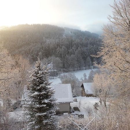 Haus Vor Den Eichen Fuer Familien Βίλα Willingen  Εξωτερικό φωτογραφία
